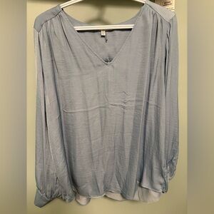Elegant Silk Light Blue Women's Top